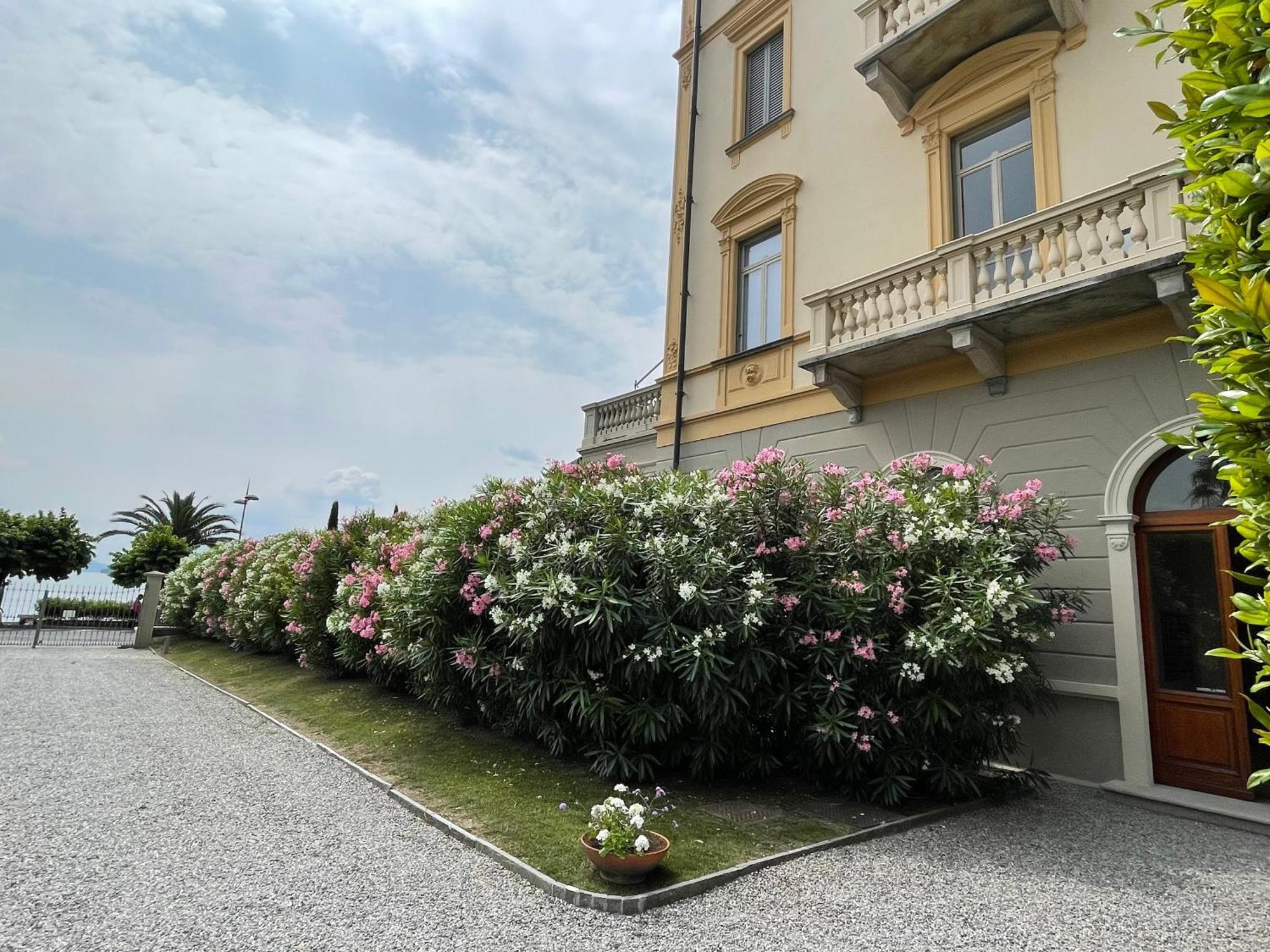 Апартаменти Residenza Victoria Менаджо Екстер'єр фото